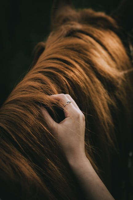 Jak poznat že se vašemu novému známému líbíte